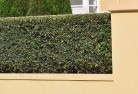 South Treeshard-landscaping-surfaces-8.jpg; ?>