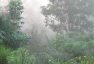 South Treeslandscaping-irrigation-4.jpg; ?>